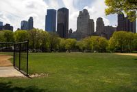 Central Park5
