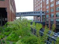 High Line5